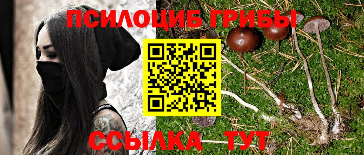 ГАШ  A-PVP СК   Знаменск  Мефедрон   Экстази  Вход с VPN  Cocaine 